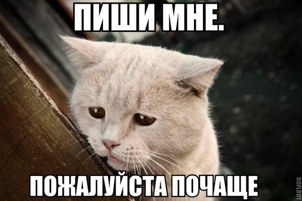 Мохнатые беспредельщики