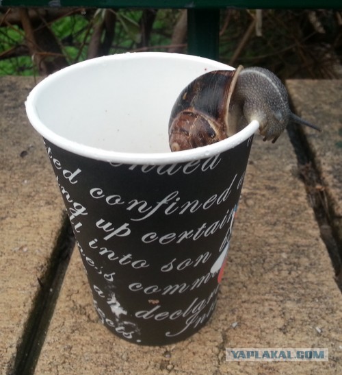 Фотоподборка