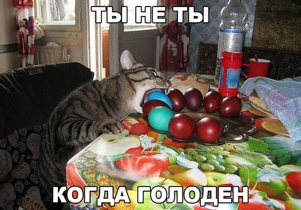 Мохнатые беспредельщики