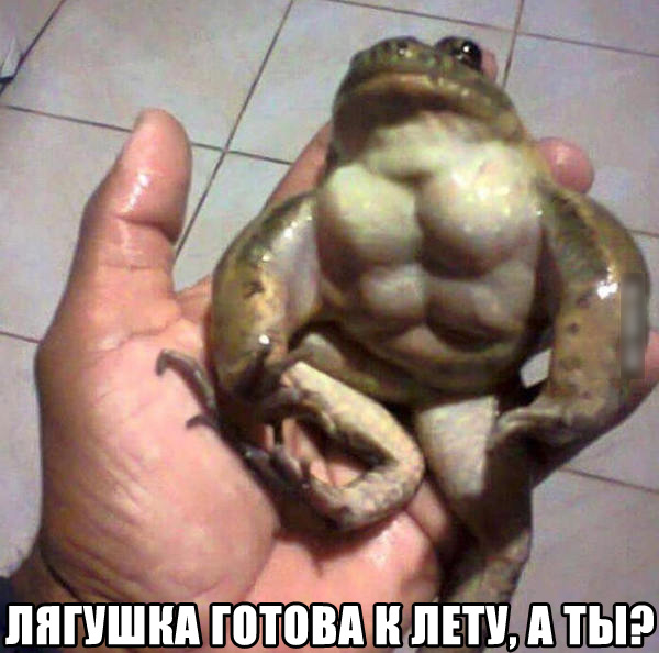 Подборка интересных и веселых картинок