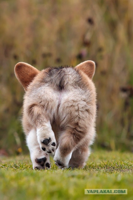 Всем нашим встречам,  увы, разлуки суждены...