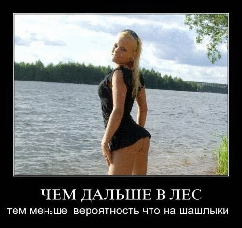 Немного картинок и гифок.