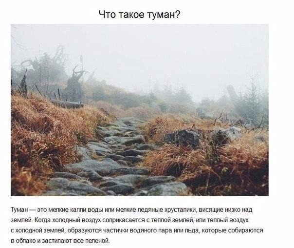 Подборка фото