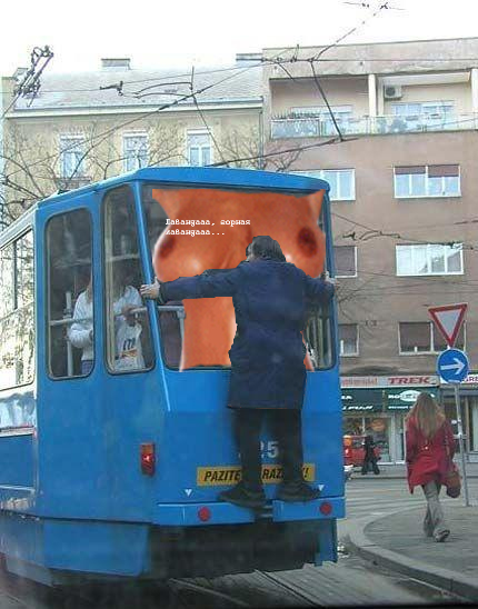Фотожаба: Заяц на трамвае