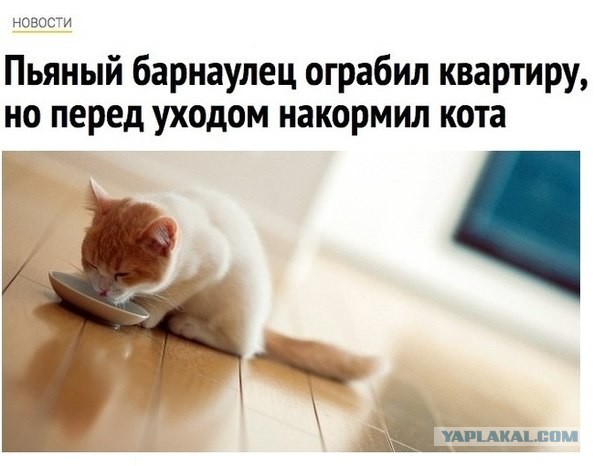 Картинки