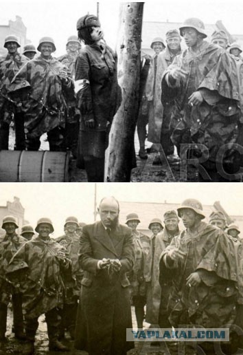 1941 год глазами немцев