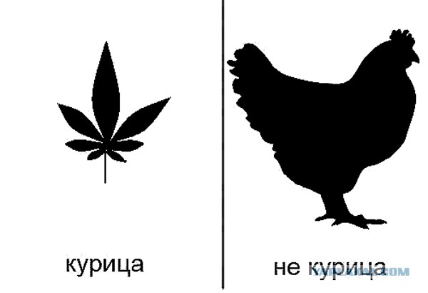 Это правда?