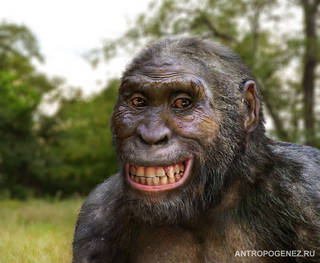 Братья и сестры, познакомьтесь с эволюцией человека