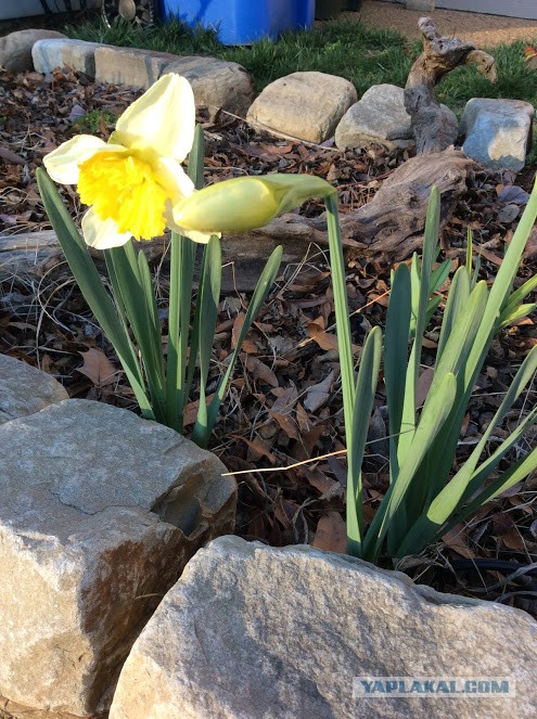 Деревенская Америка - 3