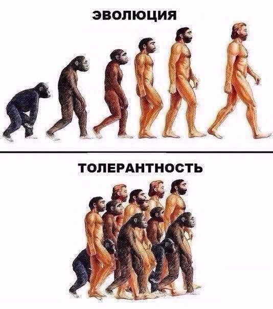 17 сатирических иллюстраций, после которых появляются вопросы к эволюции