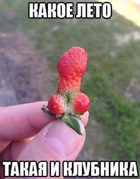 За что я люблю лето в Мурманске