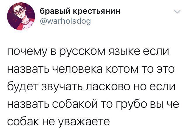 Опять соцсети...