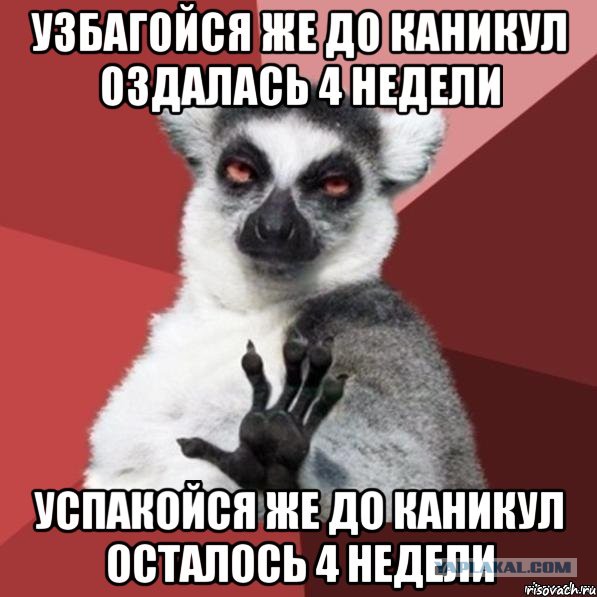 Иностранцев шокировал ролик RT про спецназ России