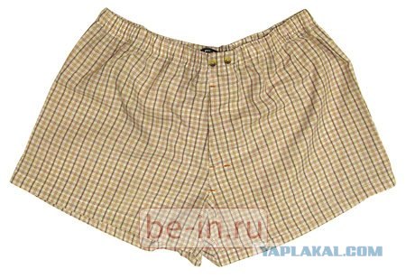 Как девочки классифицируют мальчиков по... трусам!