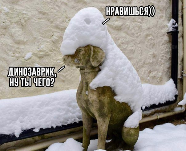 Картинки для настроения