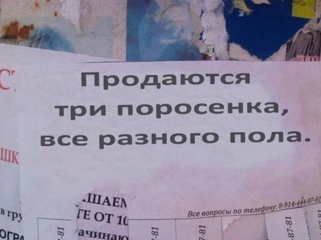 Нестандартный юмор