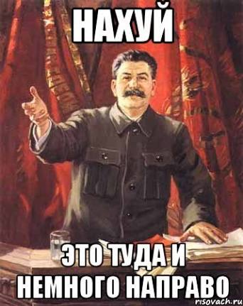 Задаем вопросы на прямую линию с ВВП
