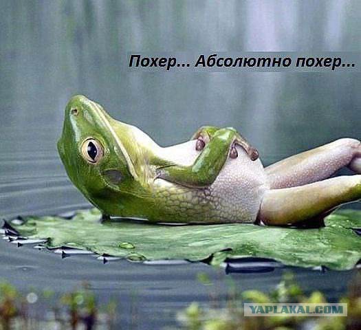 ЧМ-2018. Россия — Хорватия