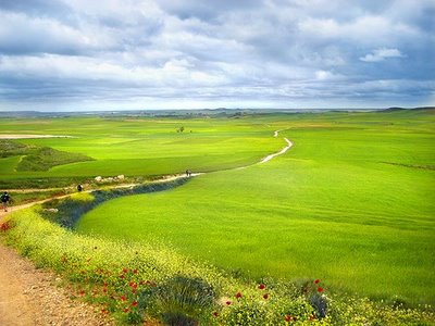 Красивейшие дороги.