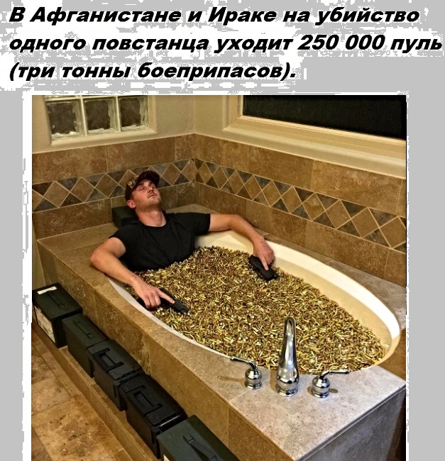 Факты на разные темы