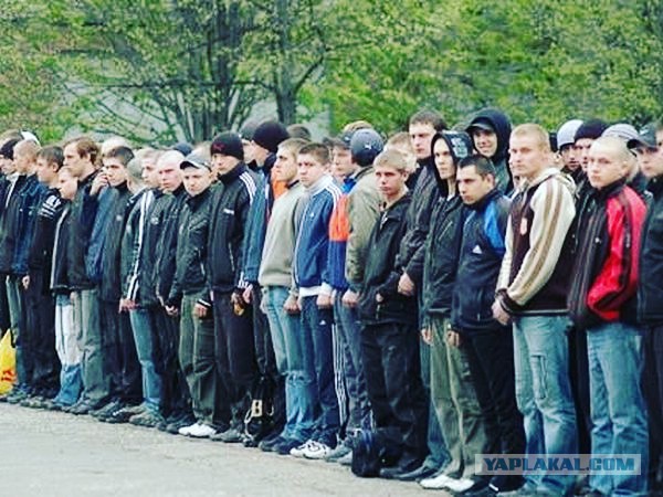 Небратья глумятся