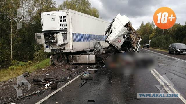 В Ярославской области семь человек погибли в ДТП с автобусом
