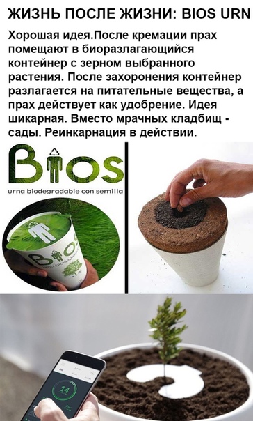 Немного картинок с надписями и без - 26