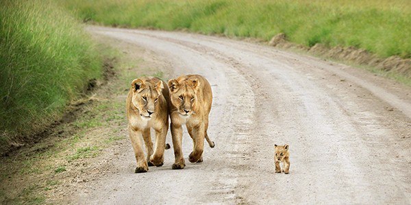 Воскресная фотоподборка