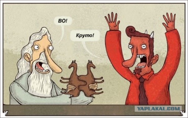 сука мироздания