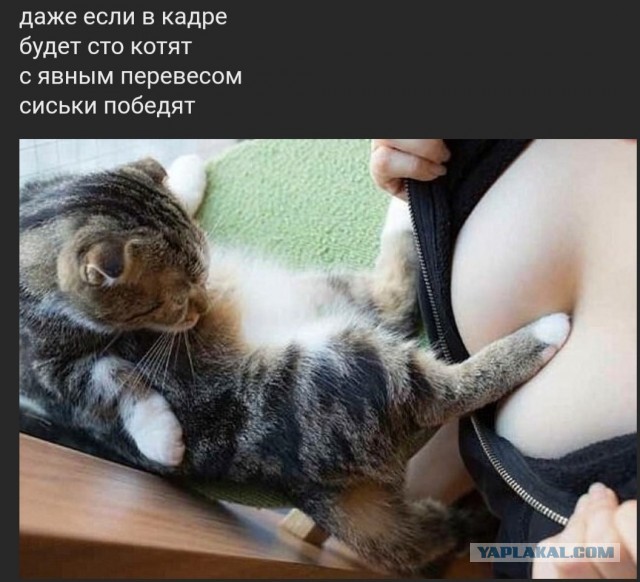 Бредзона 07.06.2020
