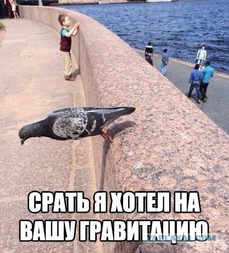 Фотографии на грани, которые щекочут нервы