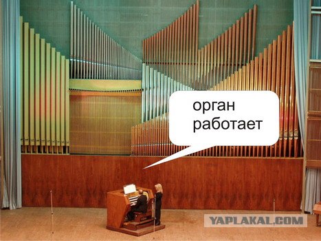 Орган работает! (8 фото)
