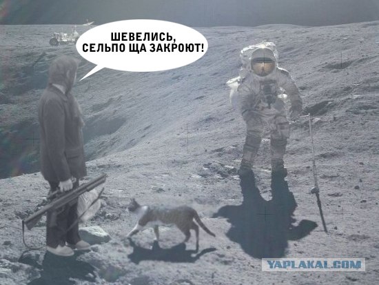 Фотожаба: Криминальная столица