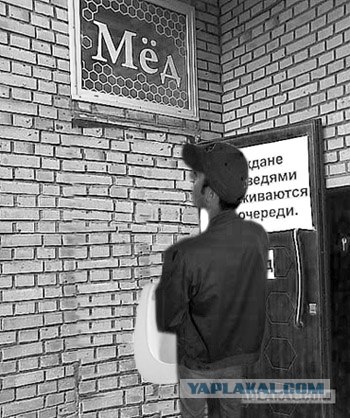 Фотожаба: Хочешь меда - бери с собой медведя