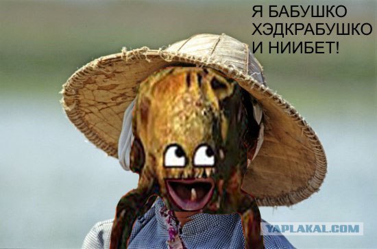 Фотожаба: Бабушка Ли