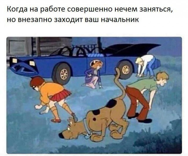 Немного картинок для настроения 09.11.20