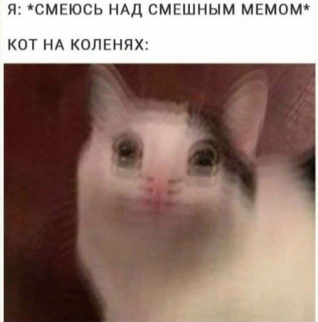 Картинки с надписями и всякие жизненные фразы 7.01.2021
