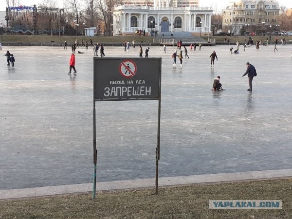 Картинки в субботу 16.01.21