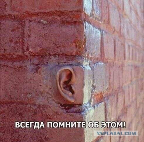 Весёлый полтишок 4.03