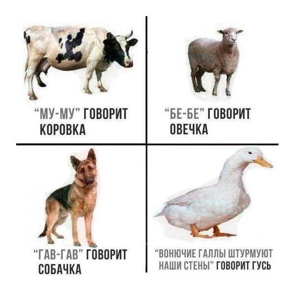 Несколько пикч ниочом на ночь глядя