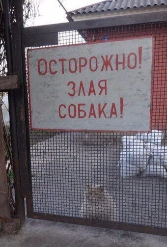 Подборка всякой живности
