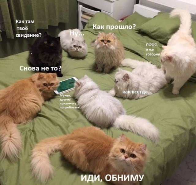 Алкопост 18.04.21