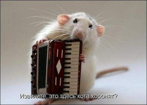 Пятничные картинки 23.04.21
