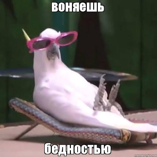 Свадьба в Сардинии: дочь Пескова может выйти замуж за бизнес-партнера