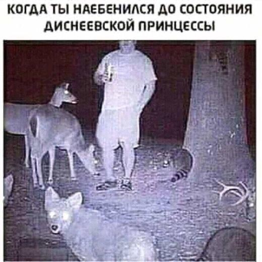 Картинки разные 25.04.2022