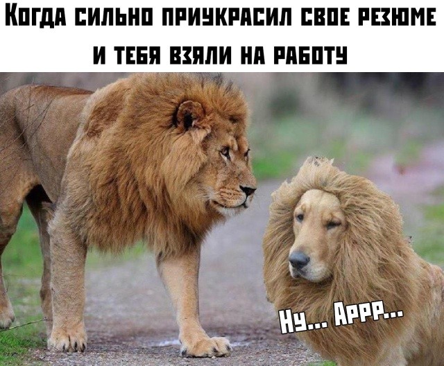 50 оттенков серого.  Vol. 6 Или самосвал баянов.  50 штук.