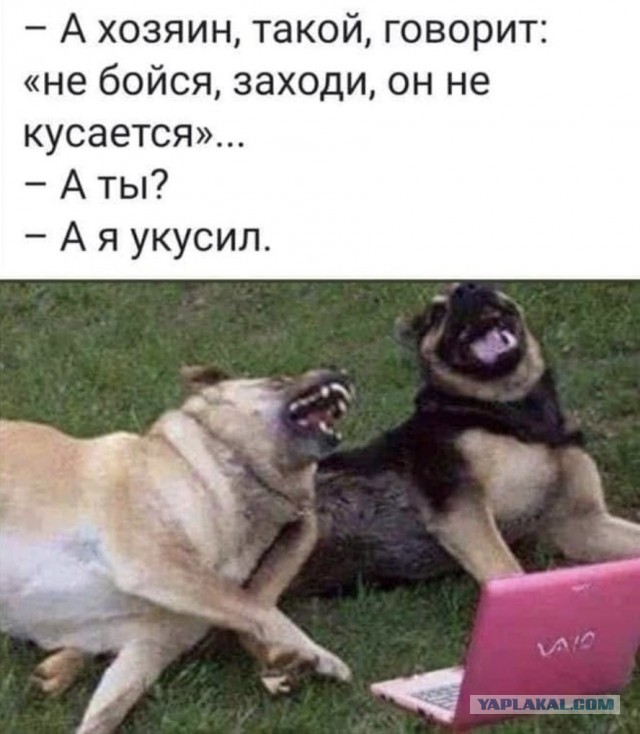 Систему принудительного распределения выпускников ВУЗов могут вернуть в России