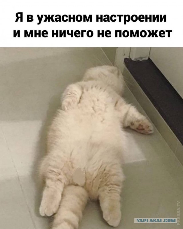 Фото-винегрет-5. Картинки ниапчём и обо всём