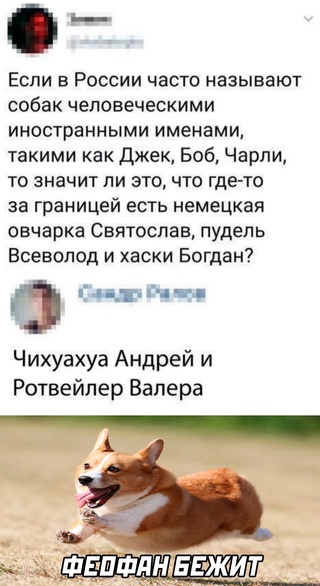 Немного картинок для настроения - 127