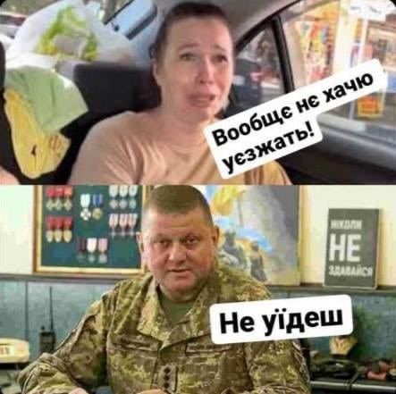 Пандемия съехавших крыш - разновидности болезни. Россия и мир. Часть 43.